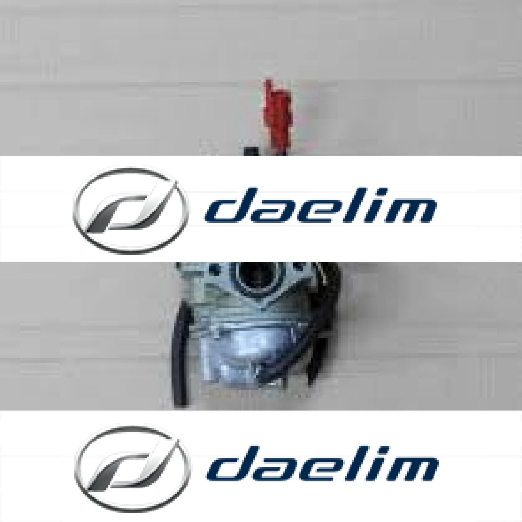 Aftermarket Carburetor Assy Daelim SH100 Delpino
