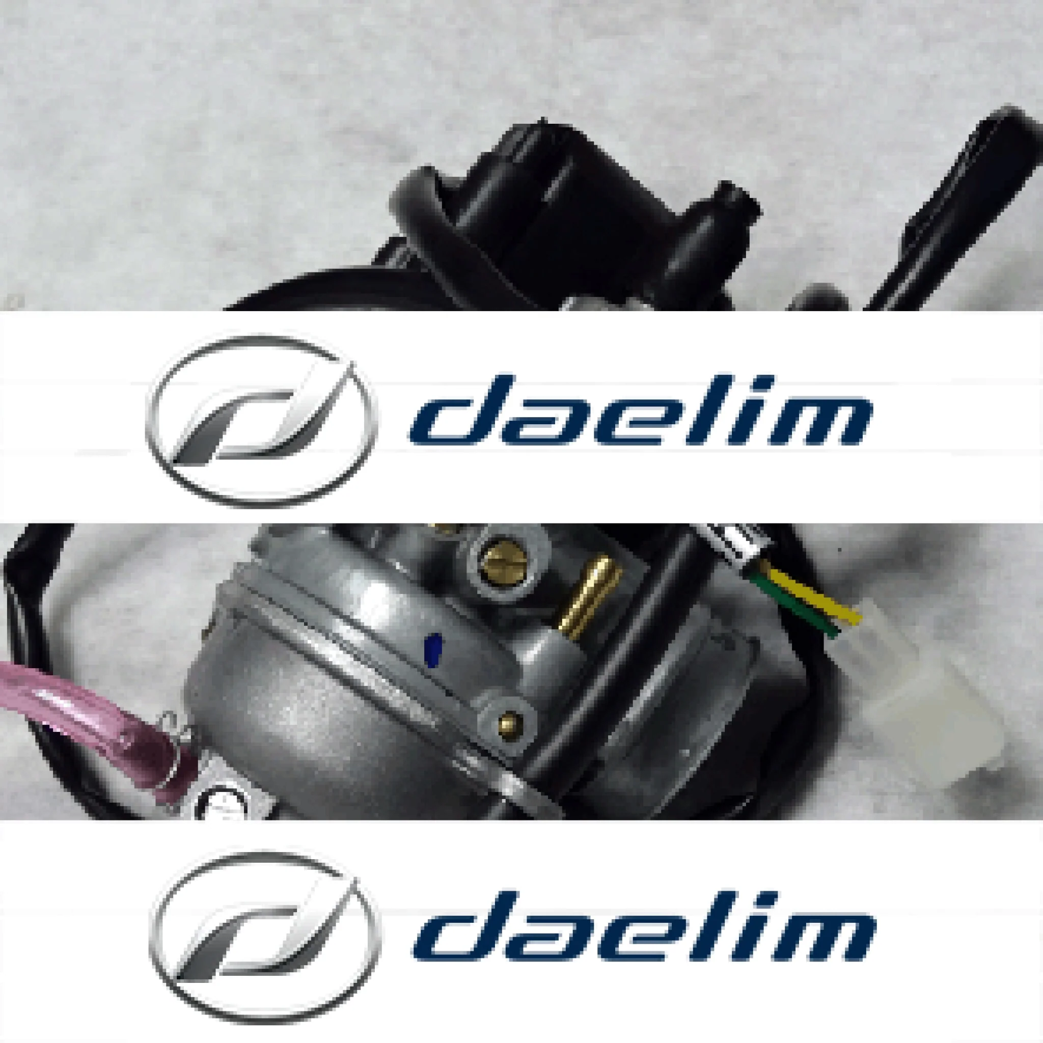 Genuine Carburetor Assy Daelim SH100