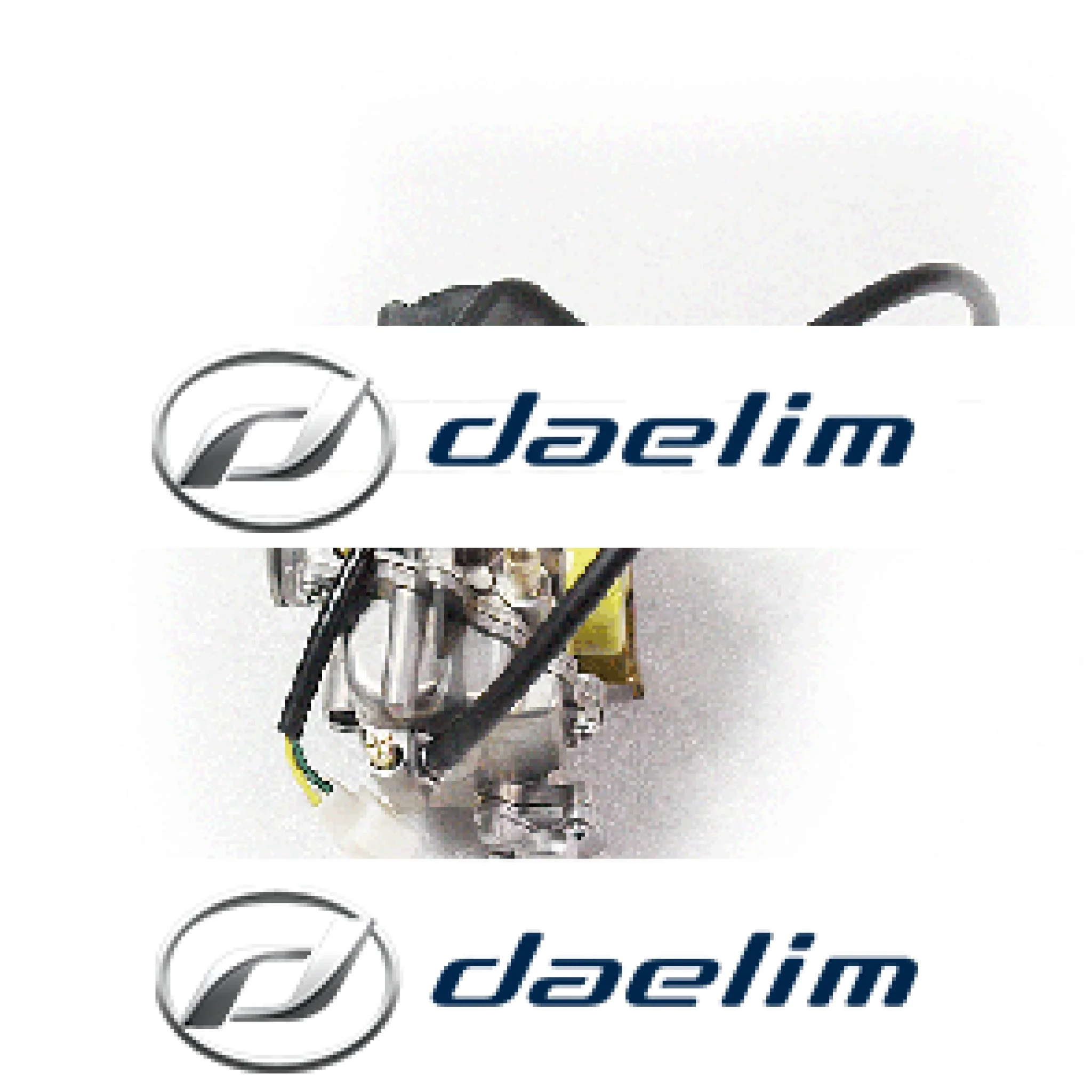 Genuine Carburetor Assy Daelim SQ125 S2 125