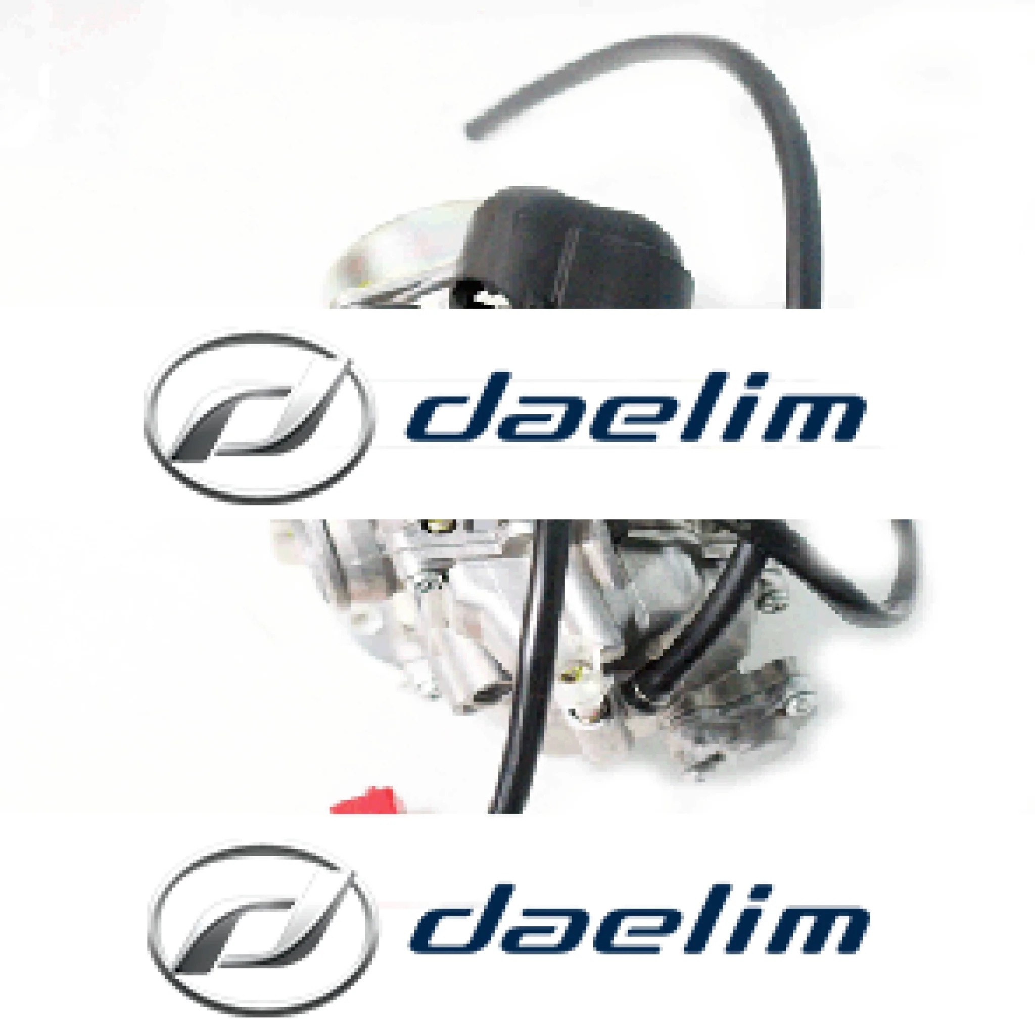 Genuine Carburetor Assy Daelim SQ250 S2 250