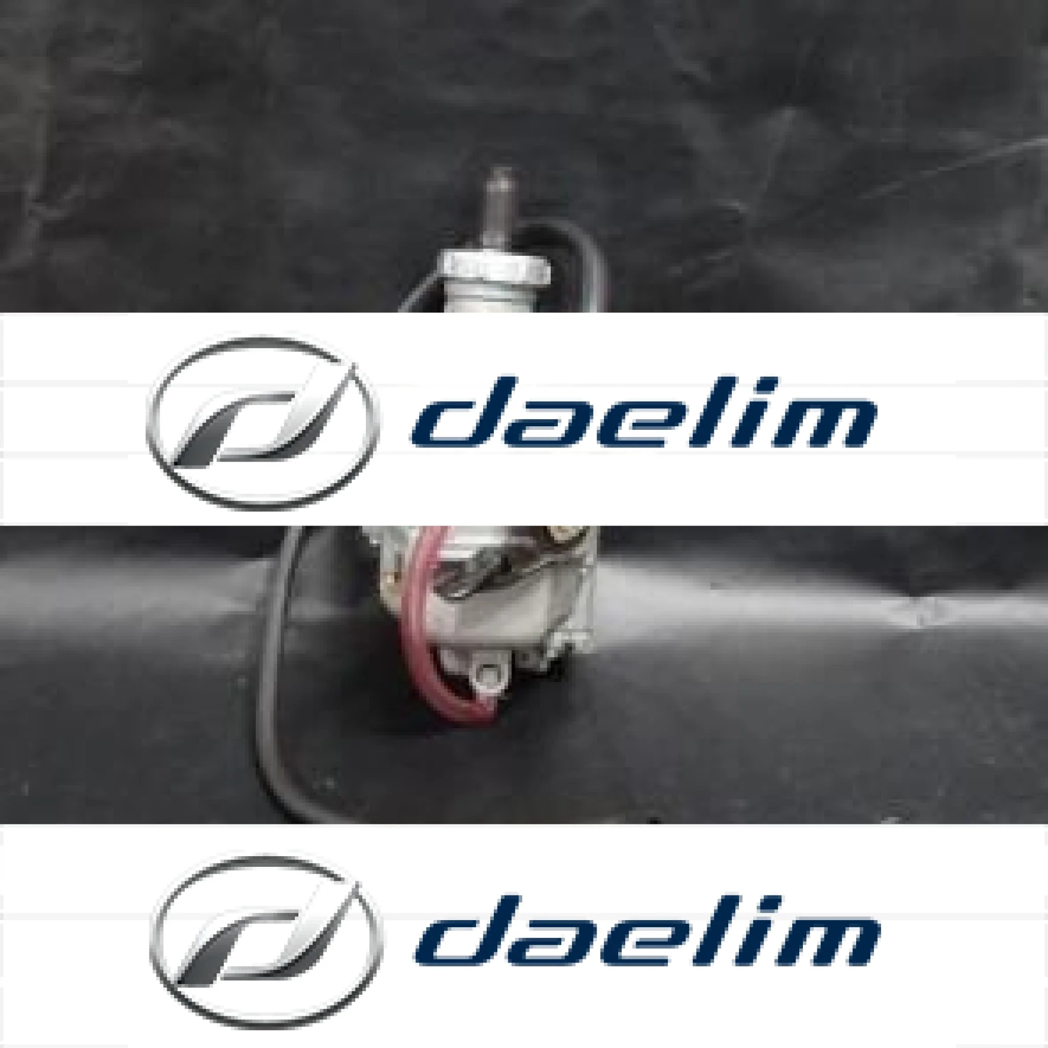 Genuine Carburetor Assy Daelim VJ150 VL150