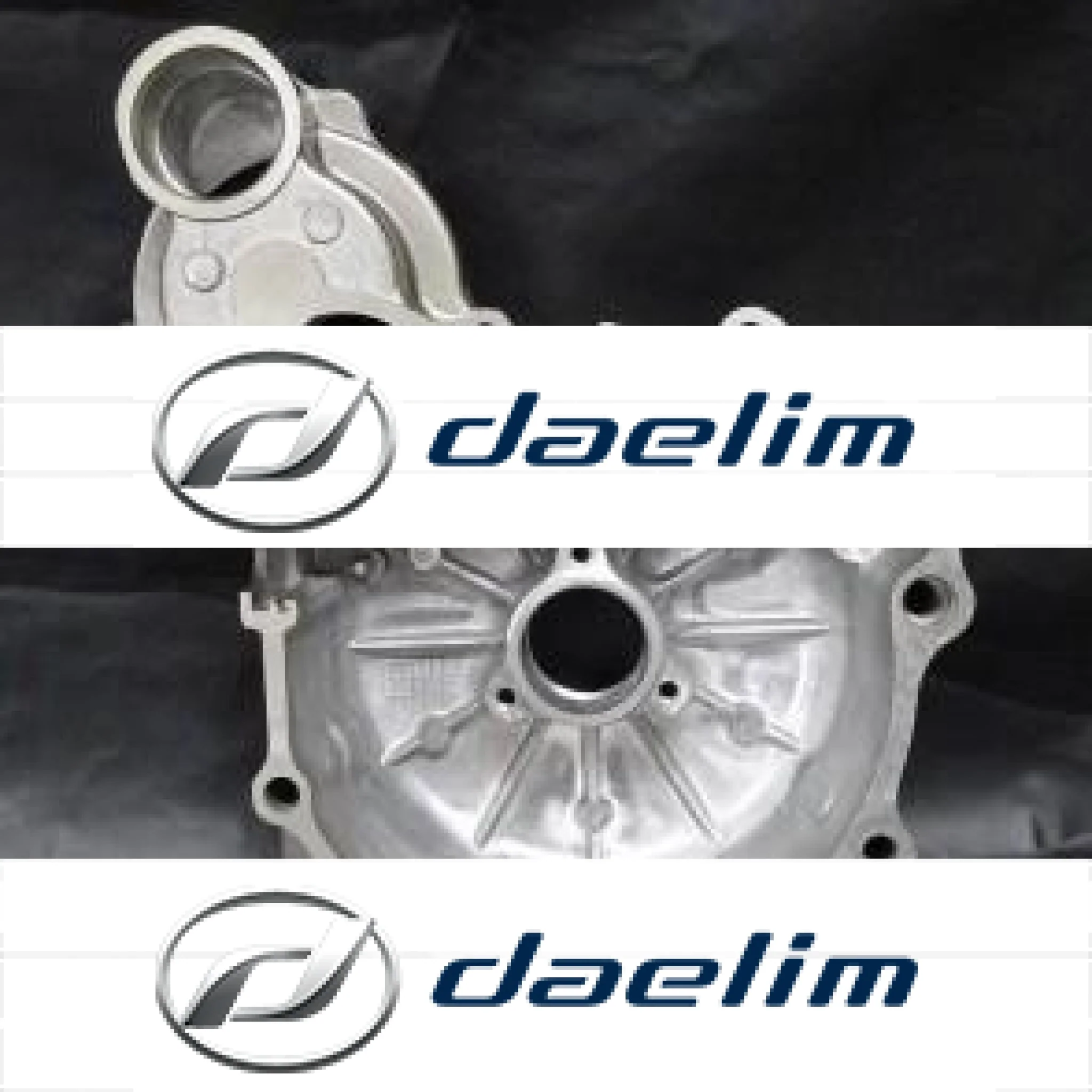 Genuine Crank Case Cover Left Gray Daelim VJ125