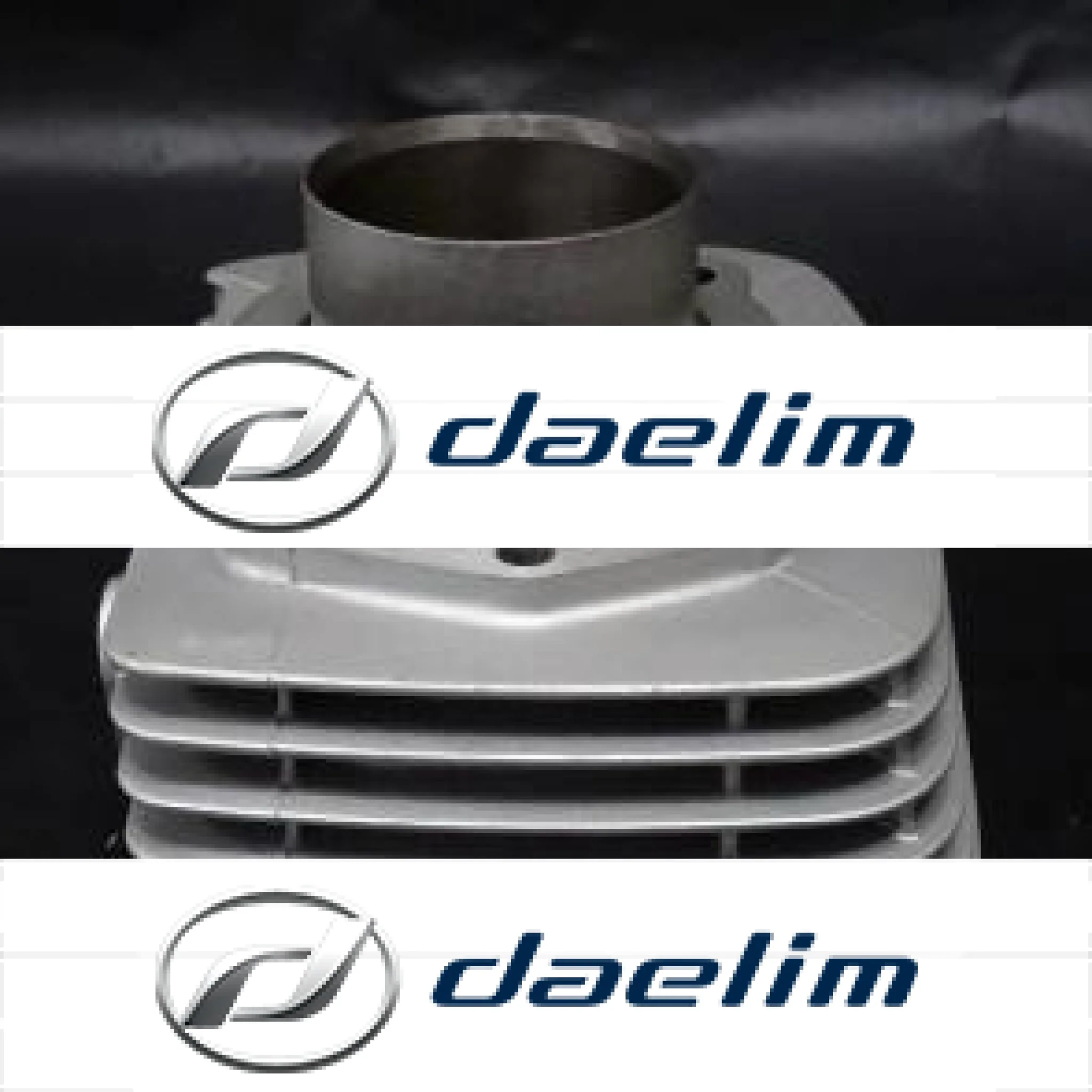 Genuine Engine Cylinder Silver Daelim VT125