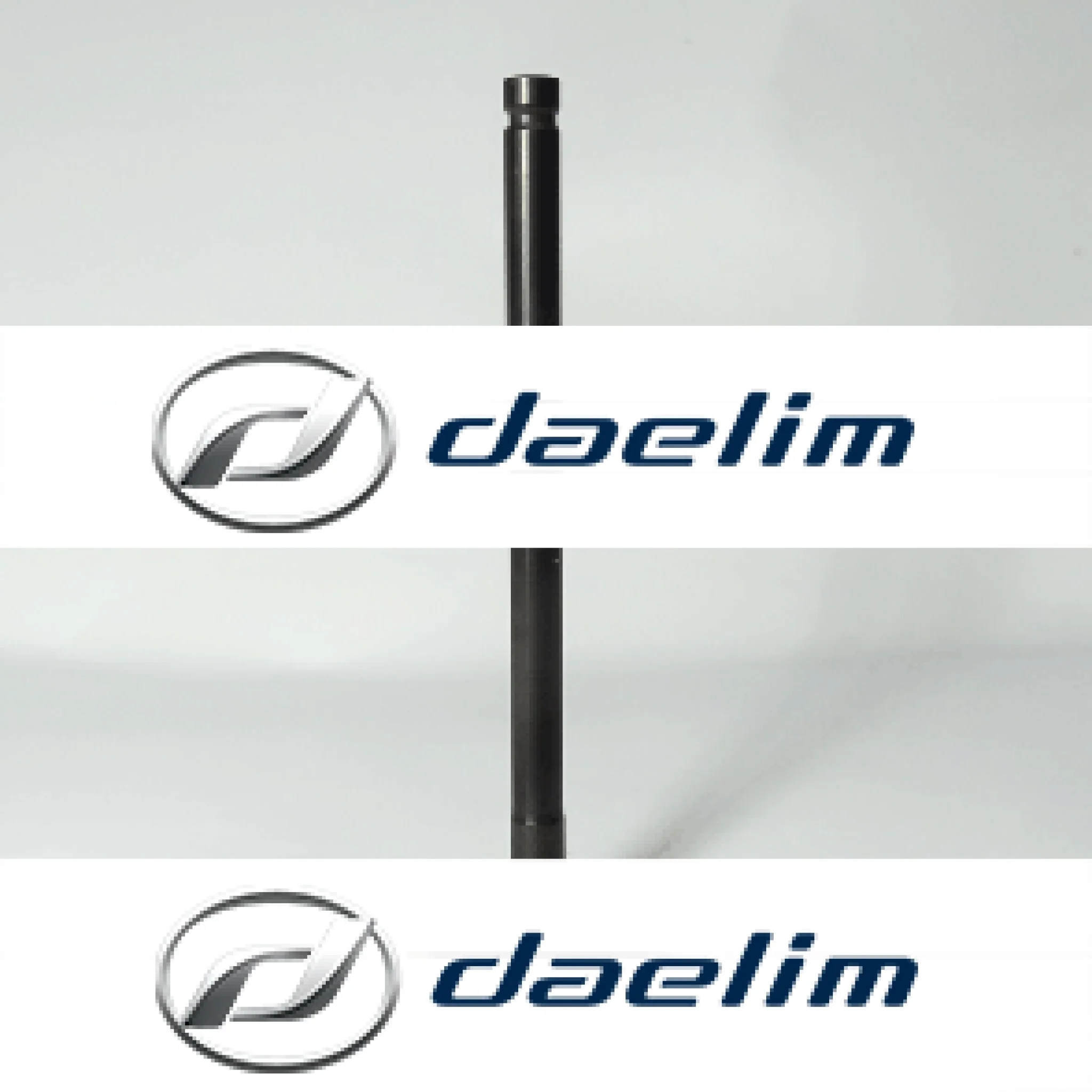 Genuine Engine Exhaust Valve Daelim VJF250 S3 250
