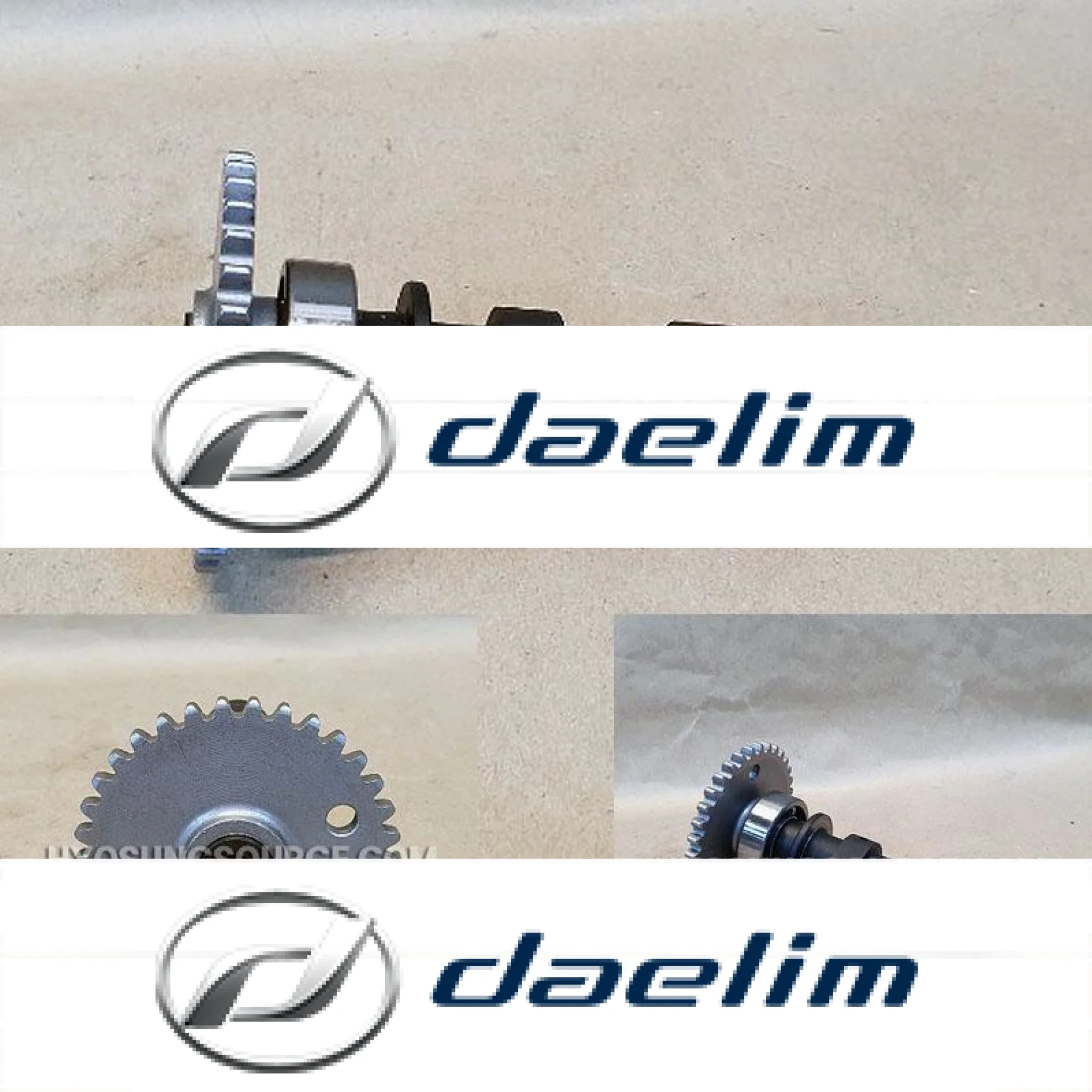 Genuine Engine Intake Camshaft Assy VJF250 Roadwin 250R