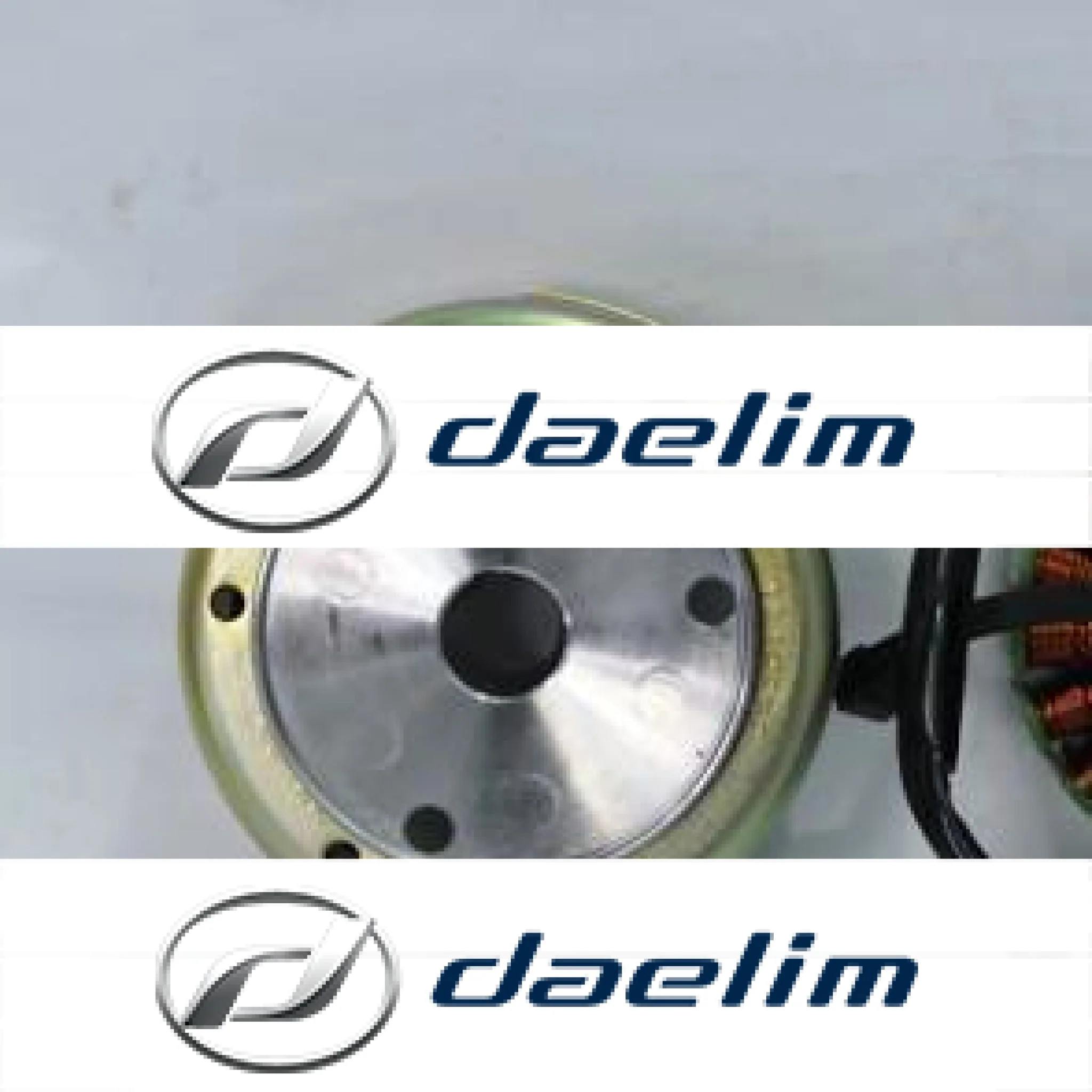 Genuine Magneto Assembly Daelim S2 250 SQ 250
