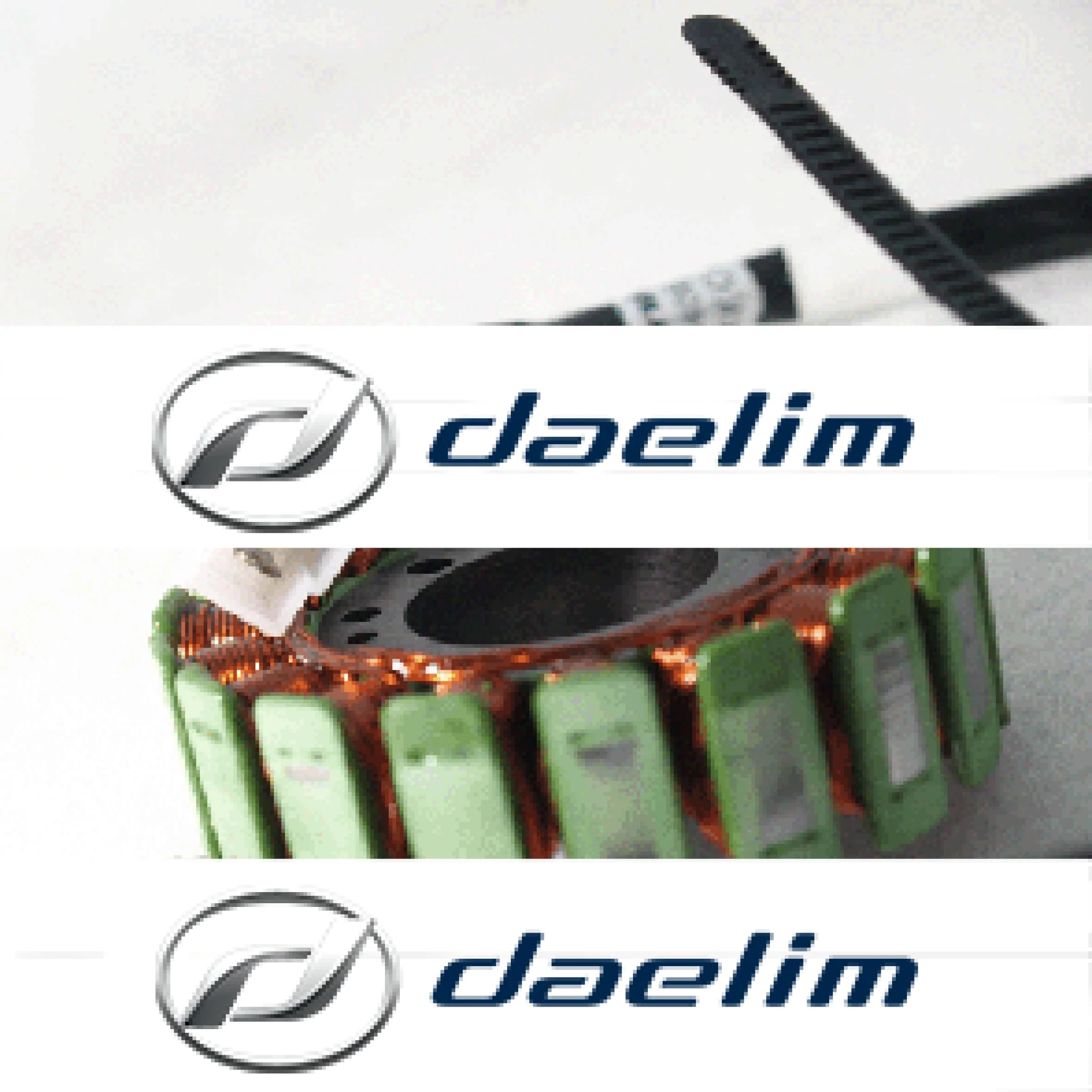 Genuine Magneto Stator Coil Daelim S2 250 SQ250