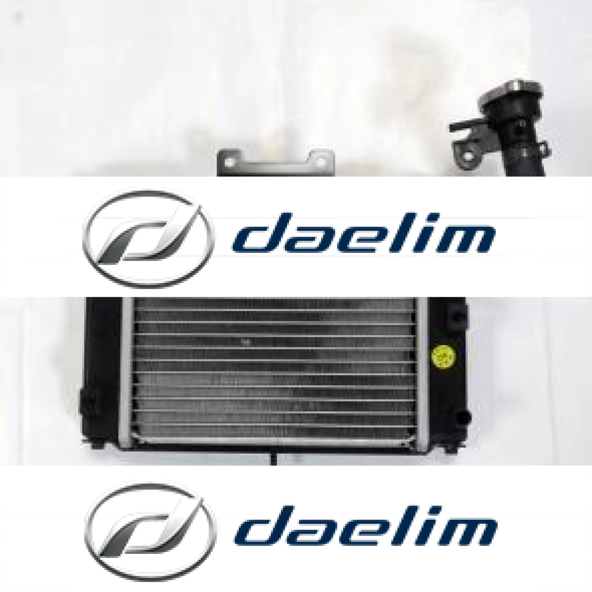 Genuine Radiator Cooler Aluminum Daelim SQ 250 S2 250